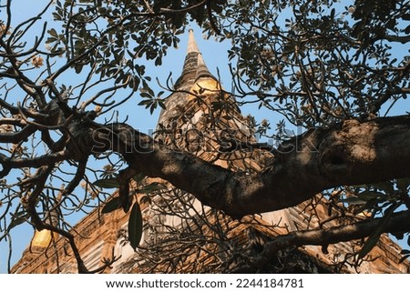 A picture of a temple taken in Ayutthaya Region, Thailand