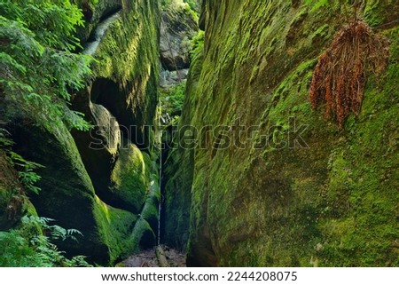 Beautiful green gorge of the mountain covered with moss