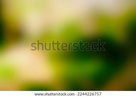 Blurred Leaves with Beautiful Bokeh Background, Suitable for Banner, Backdrop, and Overlay.