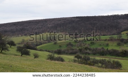 Green hills and pastures with trees in winter without snow.Rural landscape, Fruska gora - Serbia