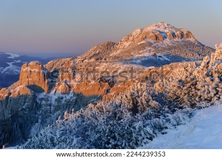 Majestic alpine scenery of mountains landscape in the evening. Sun sends its last rays over the lonely mountain peak, with slopes covered in frozen creeping pine. Beautiful blue and pink clear sky.
