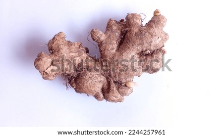 a sprouted dirty ginger on white background