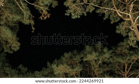 Starry night sky with animated backgrounds of twinkling or flickering stars in the forest. Constellations in the winter night sky visible between the trees. Royalty-Free Stock Photo #2244269921