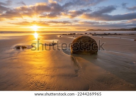 Morning sun shining in Moeraki Boulders, Hampden, New Zealand Royalty-Free Stock Photo #2244269965