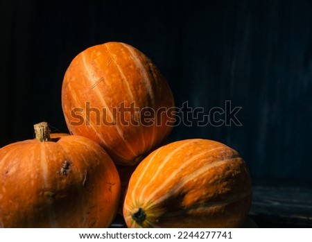 Pumpkins on a black background .
