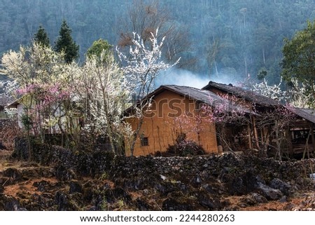 When spring arrives in all the highland villages in the northwest, peach and plum flowers bloom beautifully, the village is peaceful. Photo taken in Ha Giang in February 2018