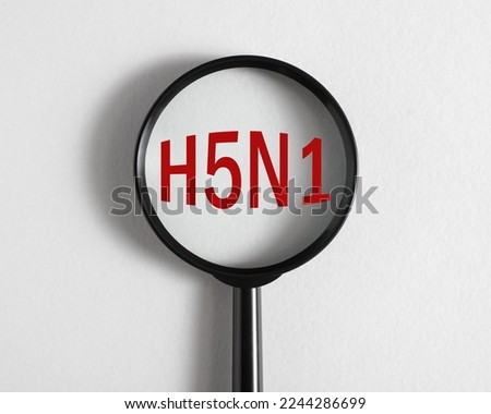 Bird flu, virus pandemic, disease concept. Magnifier focused on H5N1, close-up. Royalty-Free Stock Photo #2244286699