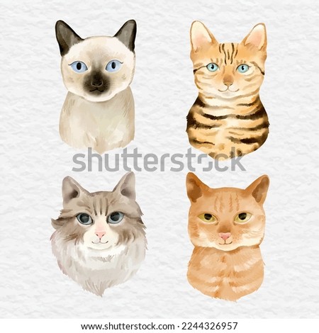 watercolor cat element clip art collection