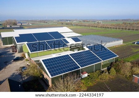 Flower bulb company with solar panels in a row on a roof. Photo taken with a drone.
Photovoltaic modules for renewable energy.Save the earth and the energy with good environment concept.