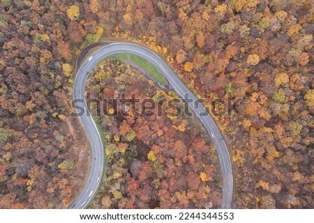 aerial view of Curvy road with autumn forest