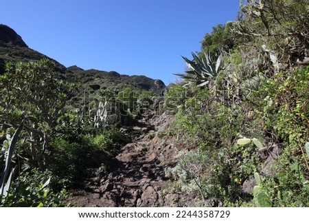 Hiking Tour on Anaga Mountains on Tenerife island