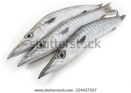 Fresh barracuda fish for cooking Royalty-Free Stock Photo #224437507