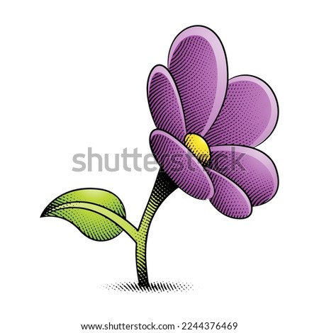 Illustration of Scratchboard Engraved Daisy Flower with Yellow and Purple Fill isolated on a White Background