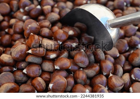 New harvest of brown chestnuts for sale on market in Lisbon, Portugal