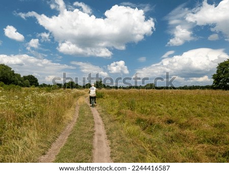 Rear view of a man on a bicycle rides on a road in a field. Summer landscape. Movement in nature