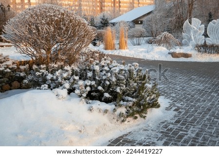 Fragment of a landscape park in winter. Alleys, trees, trimmed bushes, ice figures.