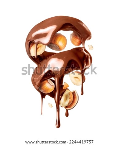 Melted chocolate in a twisted shape with hazelnuts closeup on a white background