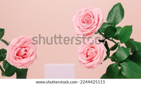 Empty podium with pink roses, banner size. Romantic, cute showcase for product presentation Royalty-Free Stock Photo #2244425115