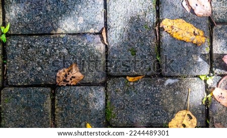 paving blocks with autumn leaves in the background