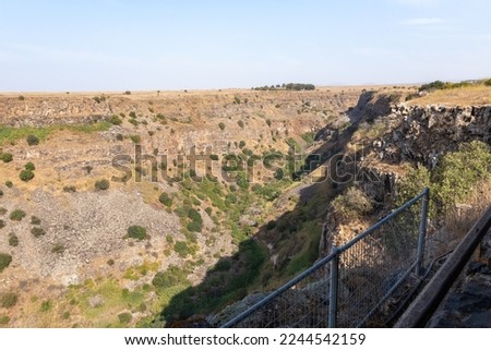 View from an eagle farm on the adjacent gorge in the Gamla Nature Reserve, Golan Heights, northern Israel
