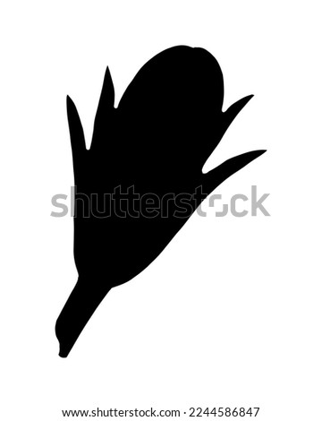 Flower Bud Silhouette Isolated on White Background. Floral Element Drawn by Pencil.