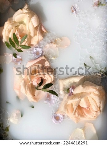 Roses in the water. Roses in the fog.  Beautiful floral composition.