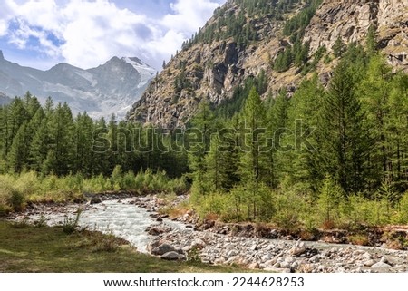 Foaming rushing water stream along rocky rapids in gorge between Italian Alps in Gran Paradiso National Park, surrounded by dense pine forest under white clouds, Aosta Valley, Italy Royalty-Free Stock Photo #2244628253
