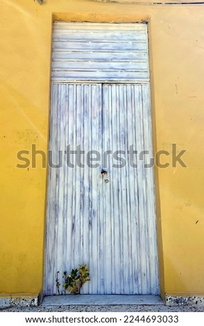 Yellow wall with an old wooden door and a growing plant