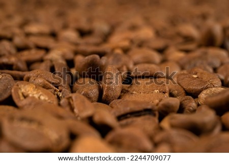 Close-up of coffee beans lined up side by side. Coffee beans macro photo shoot