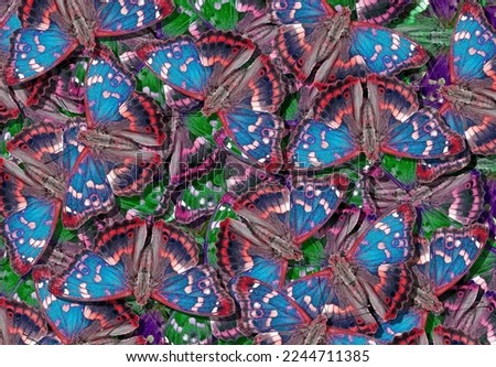 abstract pattern from bright butterflies.