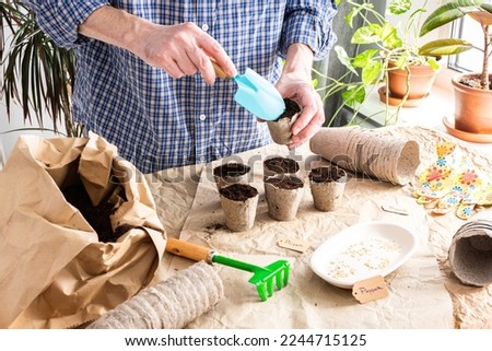 The process of planting sweet pepper seeds in peat eco friendly forms, a bag of earth and garden trowel and rakes, preparation for sowing work in the garden, a man is planting seedlings at home Royalty-Free Stock Photo #2244715125