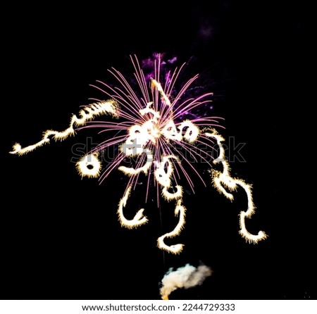 flowers fire works flowers in black sky. High quality photo