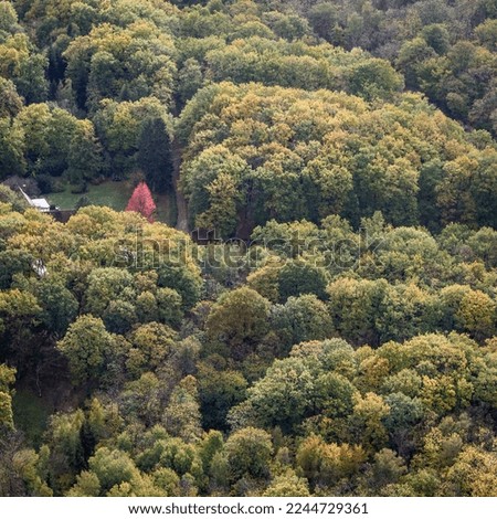 aerial view of a forest in autumn