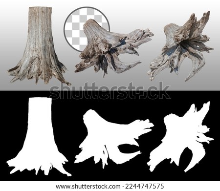 Cut out tree stump. Old tree stub isolated on transparent background via an alpha chanel. Dead tree. High quality clipping mask for professional composition.
