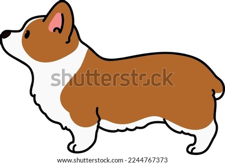 Simple and cute illustration of Corgi in side view