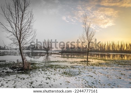 Wet and snowy landscape with bare trees. The photo was taken in a nature reserve in the Dutch province of North Brabant.