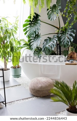 White bathroom with bathtub, green plants, wooden and wicker boho details