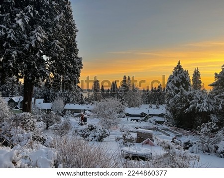 Beautiful snow day in Vancouver 