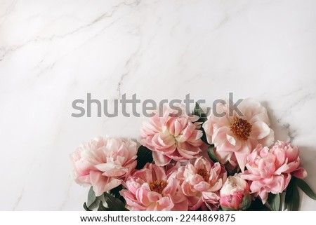 Spring feminine floral web banner, composition. Coral pink peonies flowers on white marble table background. Empty space. Flat lay, top view. Picture for blog. Natural styled stock photo. No people.