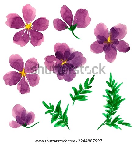 Drawn purple watercolor airy flowers. Decor set. Clip art. Elements. Purple flowers. Holidays. Making postcards. Watercolor. Texture.