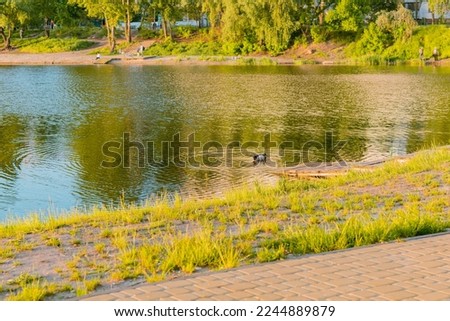 City's public lake with green grass and trees around. Nature. Natural. River. Alone. Greenery. Lonely. Walk. Contrast. Scene. Rural. Scenic. City. Day. Season. District