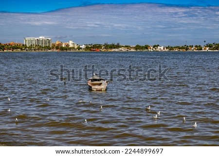 Small fishing boat anchored on the shores of the Araruama lagoon, with seagulls composing the picture.