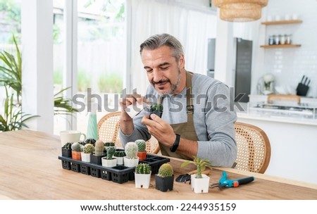 Portrait of happy sme owner senior caucasian man working gardening cactus succulent. Hobby or leisure startup small business sme owner, Retirement mature farmer.