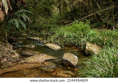 peaceful, serene natural scenery with warm, low lighting, including rocks, rivers, and forests.