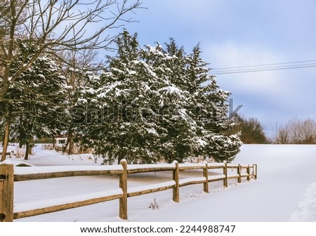 Winter scene with pine trees in deep snow and wooden fence; blue sky with clouds in background 