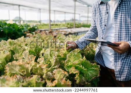 Man farmer looking organic vegetables and holding tablet for checking orders or quality farm
