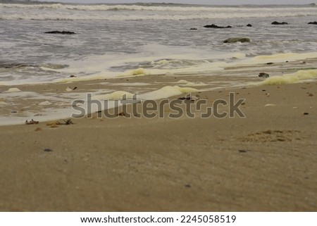 Photo of a cold beach and ocean