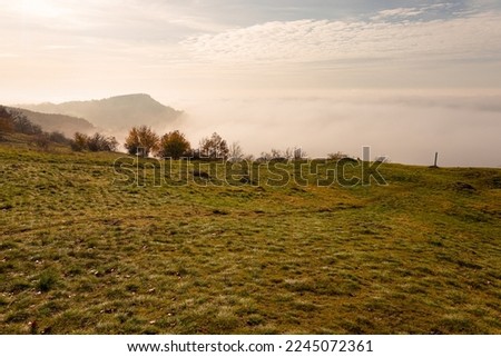 Inverse weather, early autumn in the nature, beautiful landscape photo, on the peak 