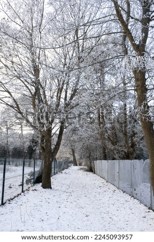 Winter shots in Mielno, Poland