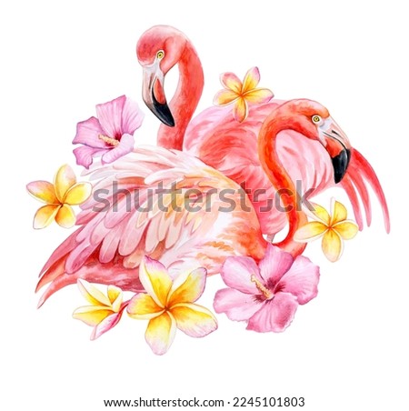 Pink flamingo birds with plumeria and hibiscus tropical flowers isolated on white background. Template Clip art.